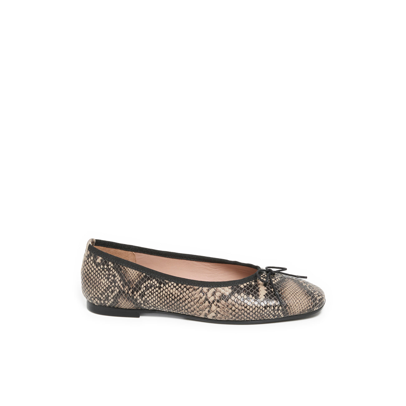 AELIS PYTHON