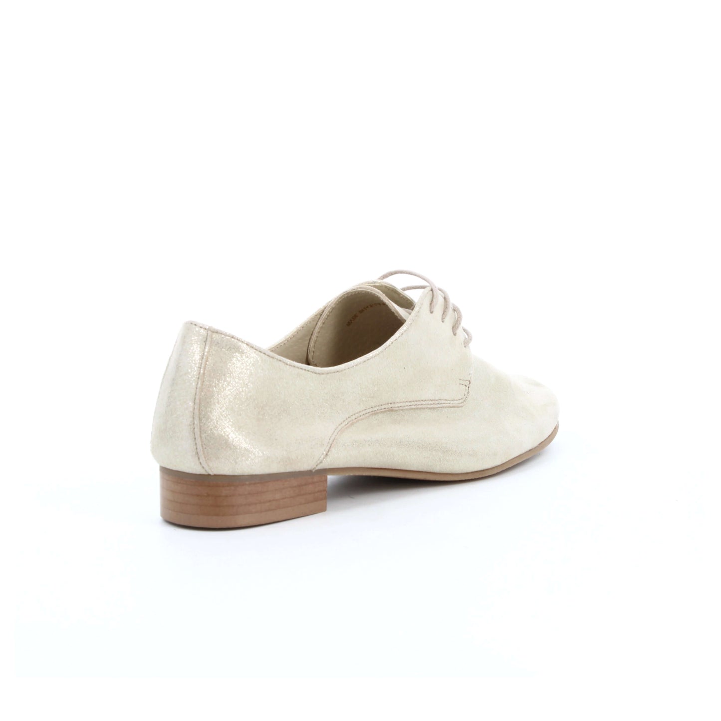 DERBY COMPLICE OR - André