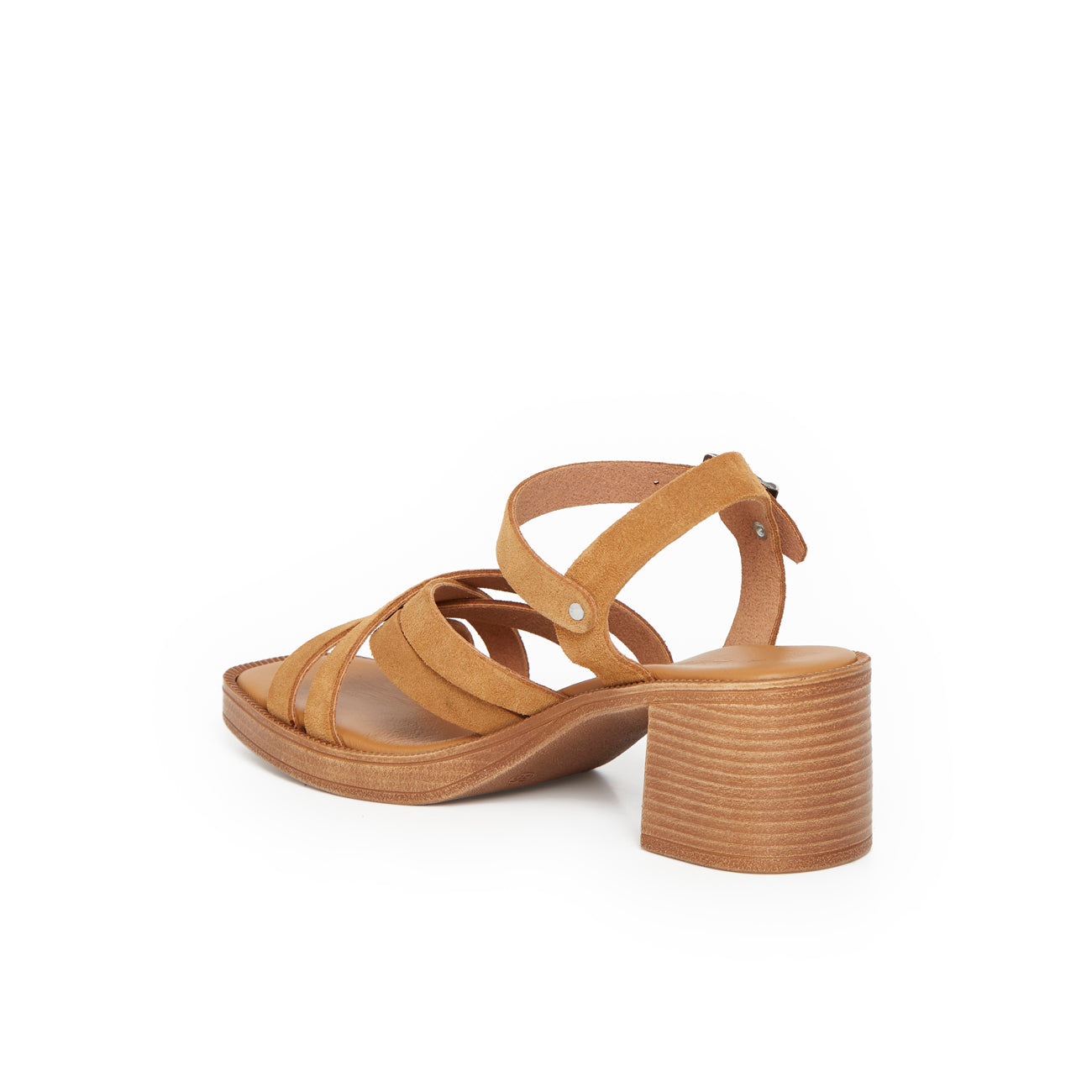 NAREL CAMEL