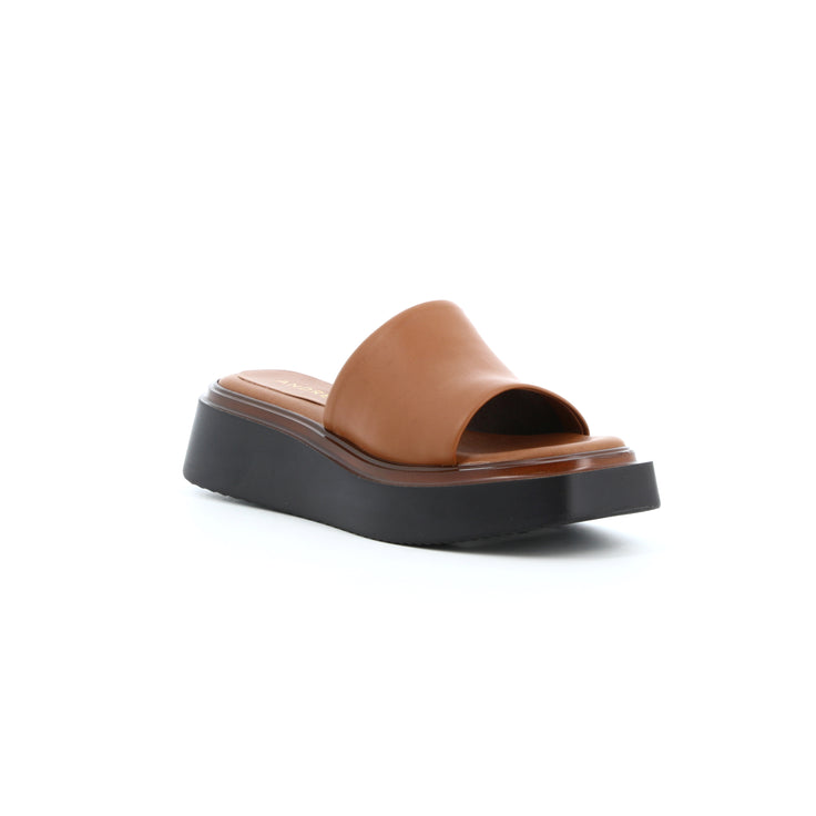 CHERRY CAMEL