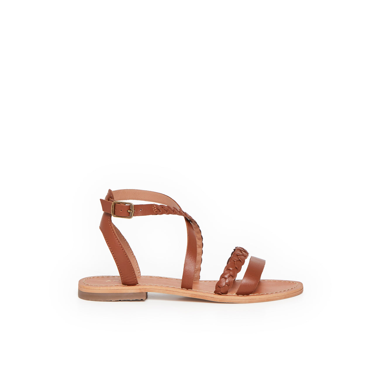 ROSE CAMEL
