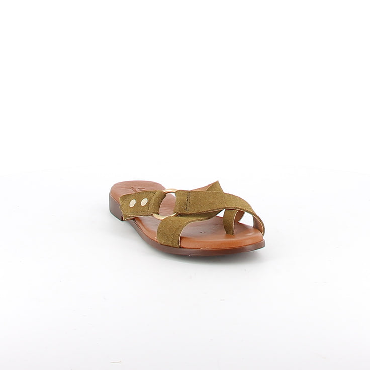 PAPYRUSA KAKI