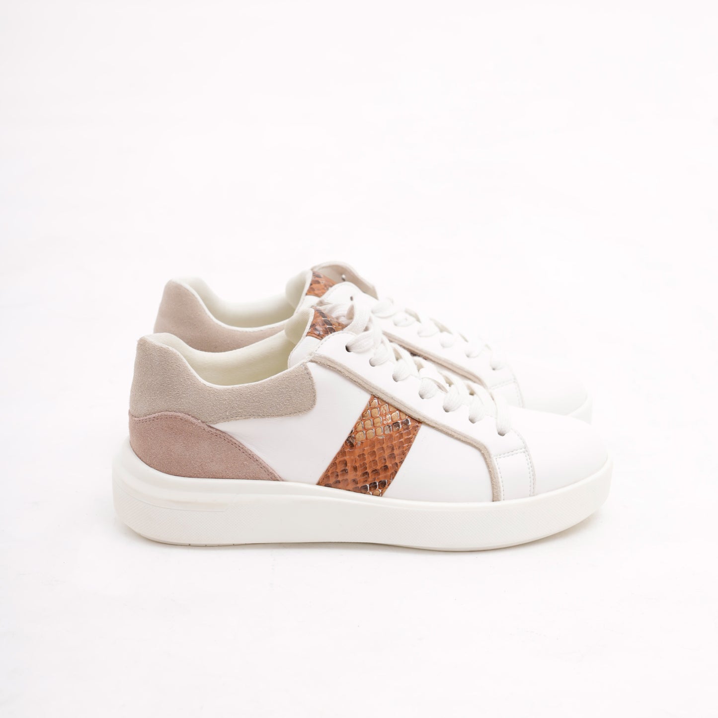 ENEA BLANC/CAMEL