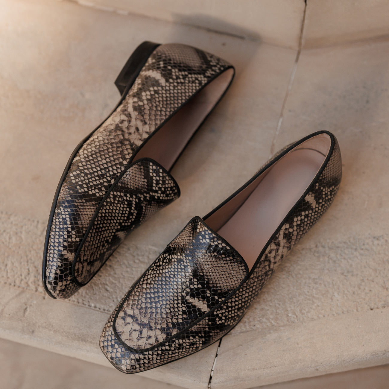 FELICITE PYTHON