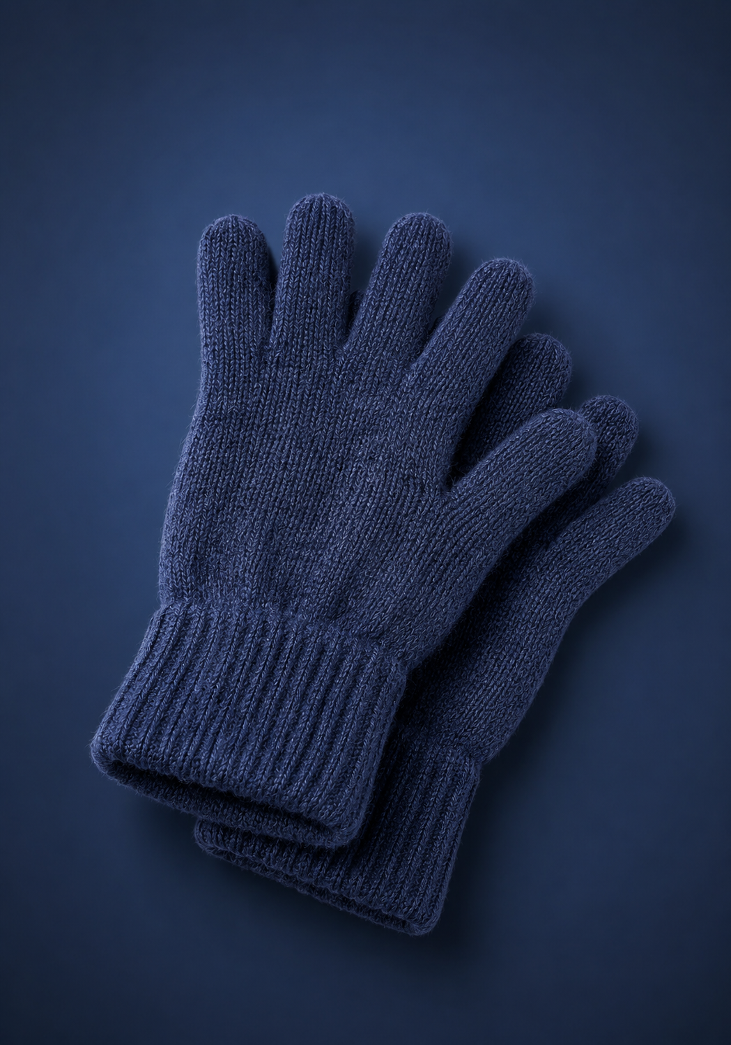 FABIENNE BLEU MARINE - GANTS