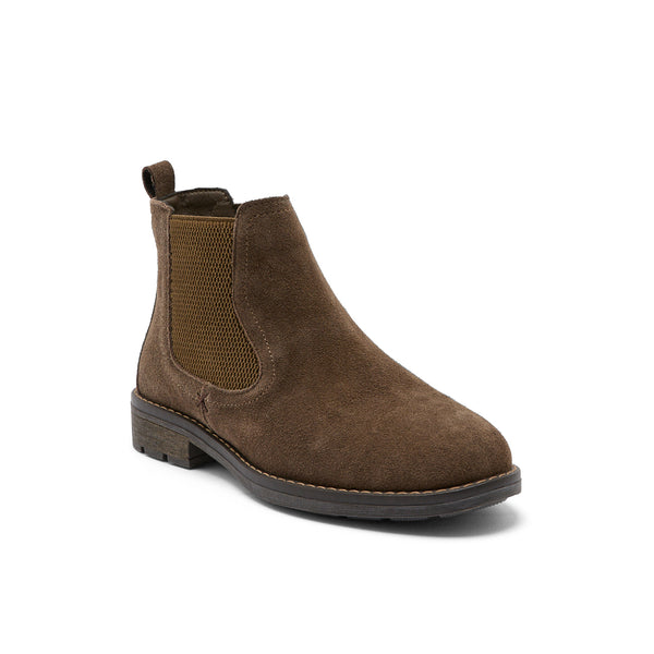 AEDAN TAUPE