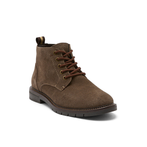 ANGUS TAUPE