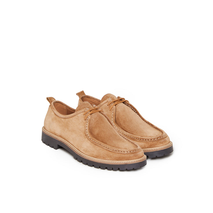 PROMENANT CAMEL