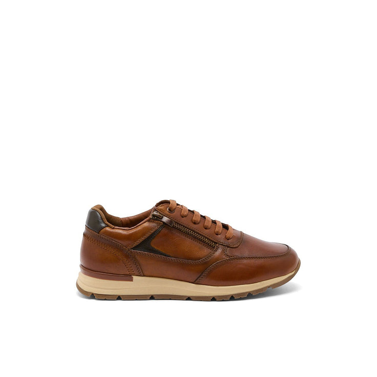 AUXENCE CAMEL