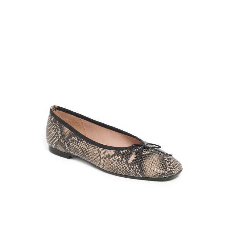 AELIS PYTHON
