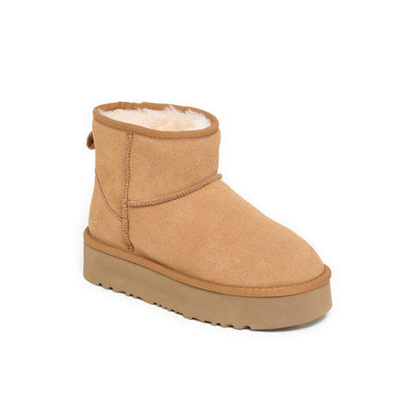 ICY CAMEL
