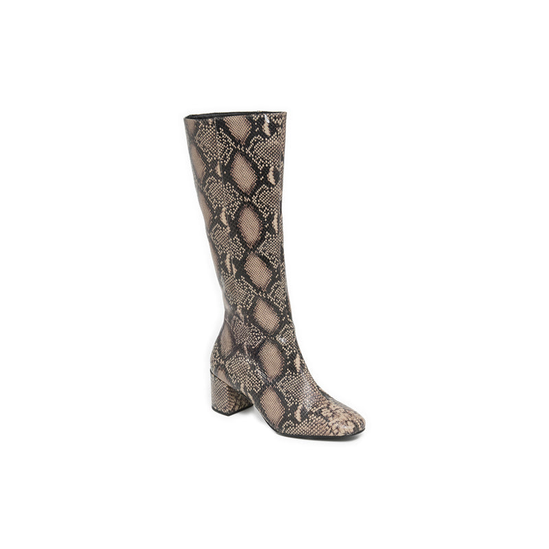 Python Lezia