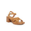 NAREL CAMEL