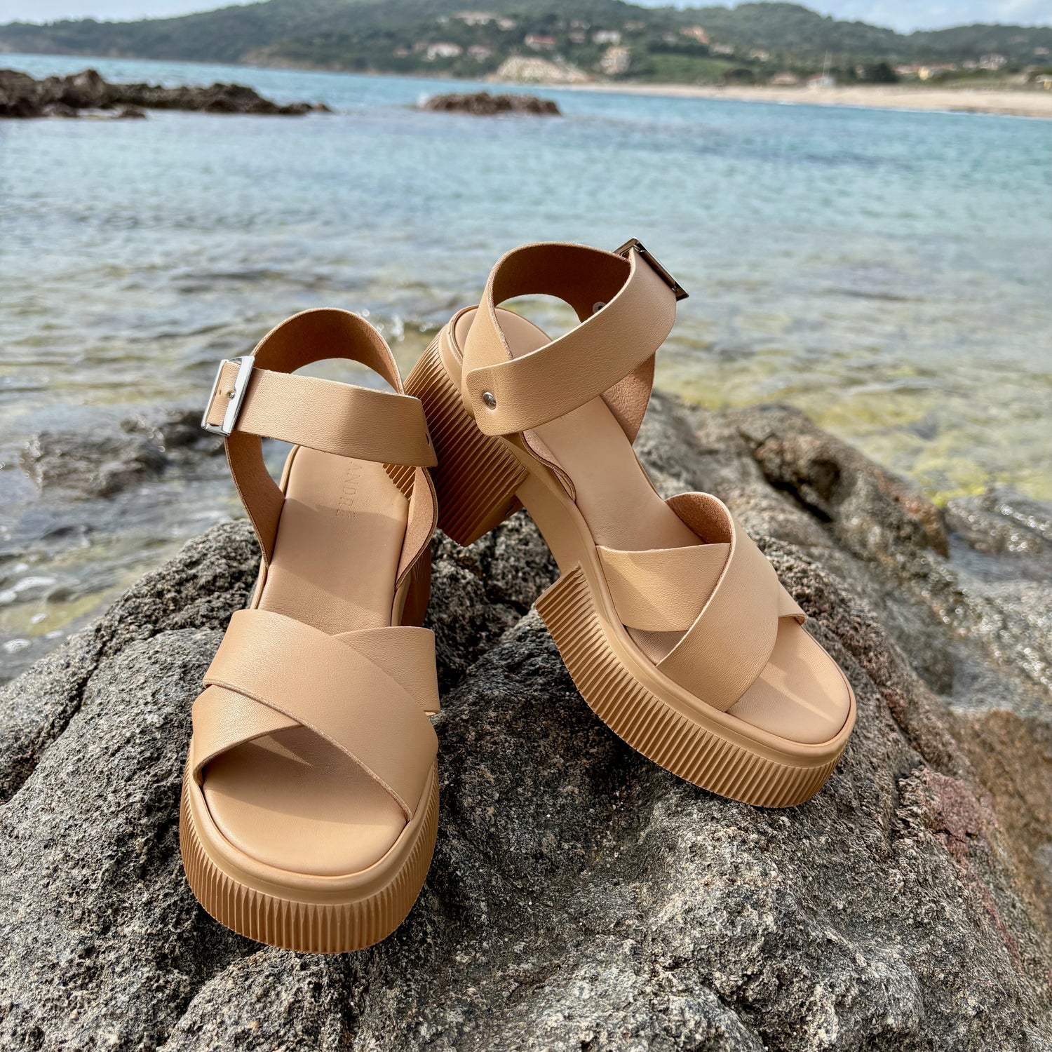 UMBERTA CAMEL