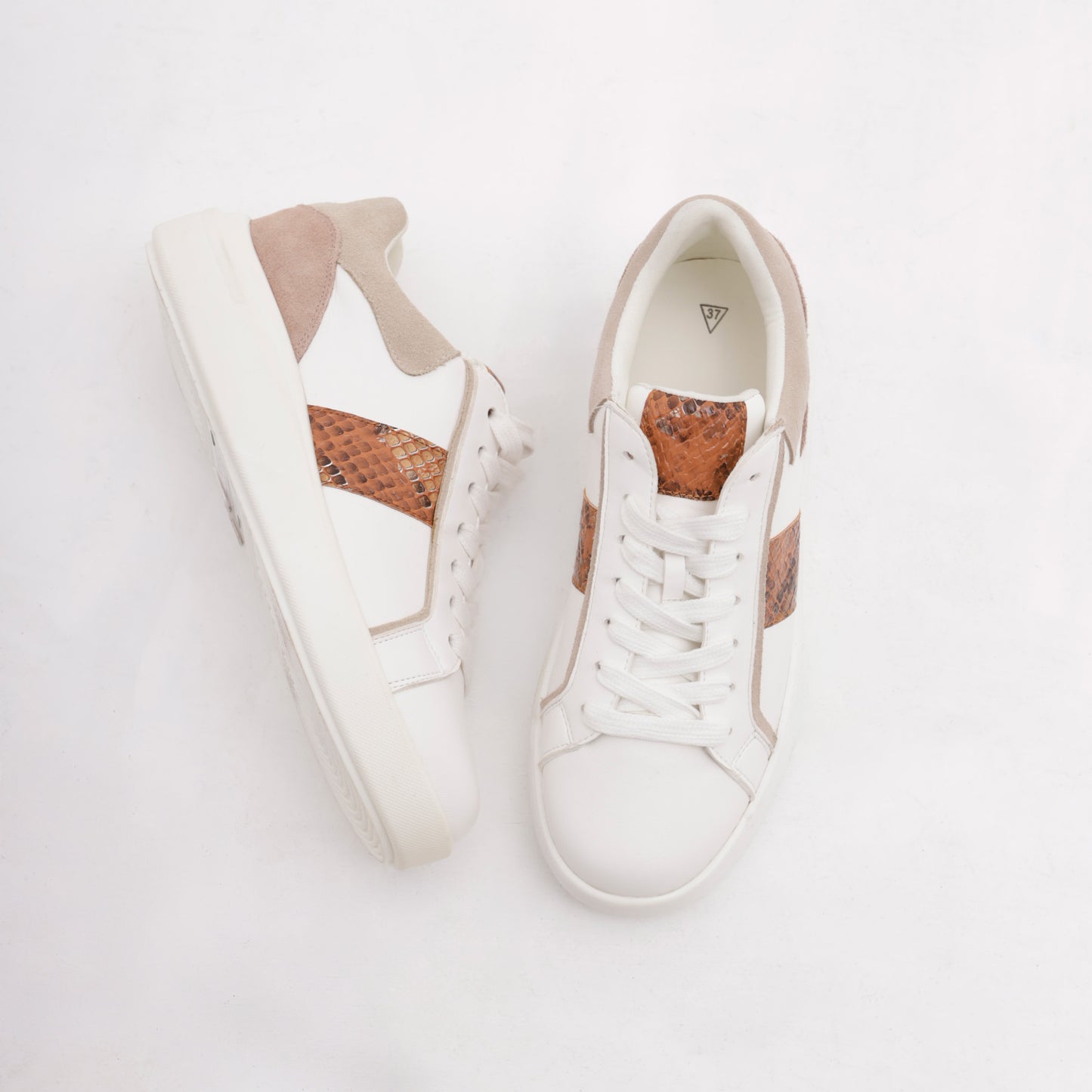 ENEA BLANC/CAMEL
