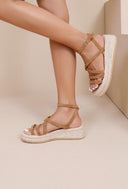 NEREA CAMEL
