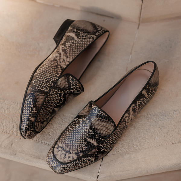 FELICITE PYTHON