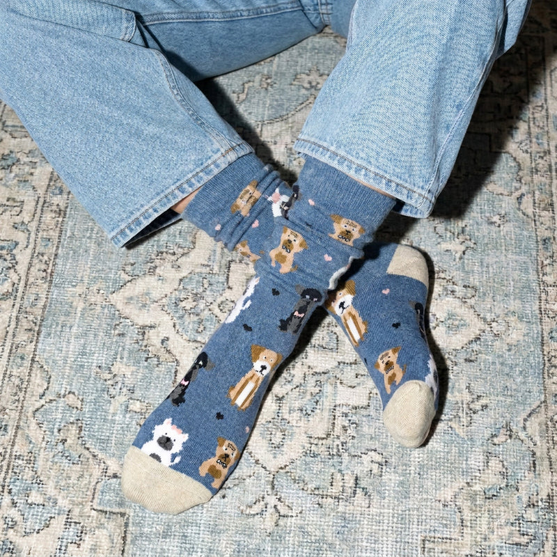 Longues chaussettes Chiens - Bleu