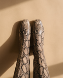 Paire de bottes LEZIA imprimé python vue du dessus sur fond beige — André