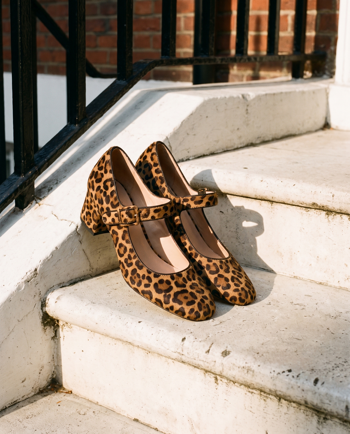 MONA LEOPARD