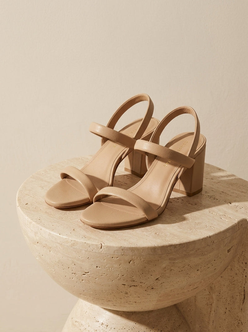 TARA BEIGE — nature morte